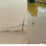 Akibat Tercemar, Puluhan Petambak Bata-Batao Bakal Mengalami Kerugian Akibat Tercemar, Puluhan Petambak Bata-Batao Bakal Mengalami Kerugian