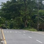 Respon Keluhan Warga di WAG, Bupati Barru Instruksikan Jajarannya Evakuasi Pohon Tumbang di Jalan Raya