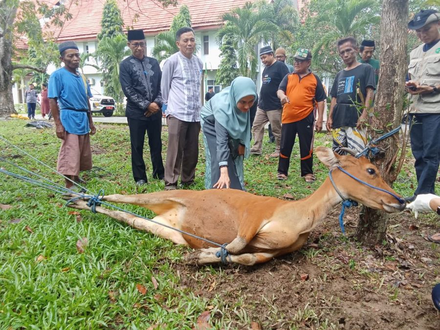 Salat Idul Adha di Masjid Agung Syuhada Masamba, Kab Luwu utara Tahun 1444 H/ 2023 M.