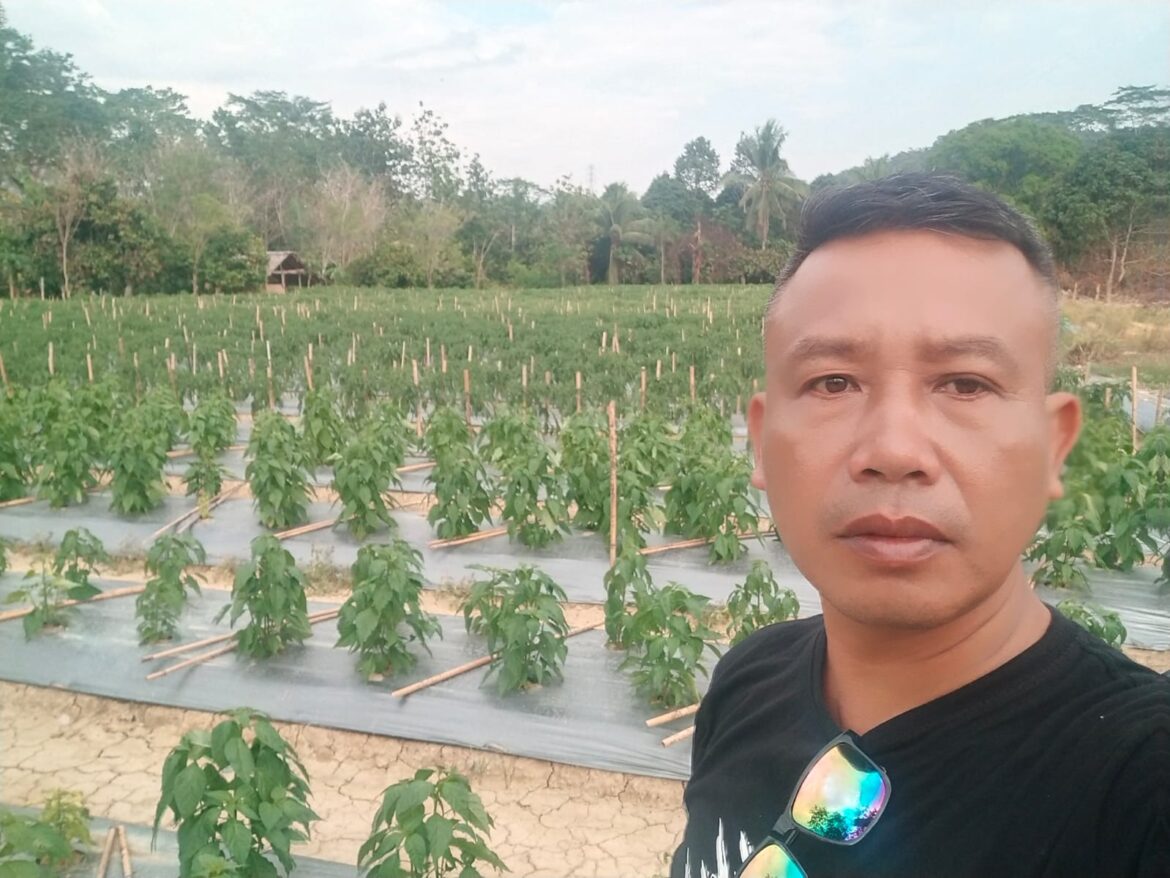 Pemanfaatan Lahan Kosong Untuk Menunjang Ketahanan Pangan.