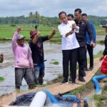 Presiden RI Berphoto Dengan Petani Di Sawah Presiden RI Berphoto Dengan Petani Di Sawah