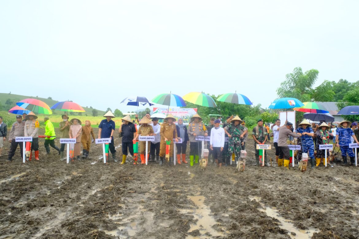 Penanaman Jagung Serentak di Kabupaten Jeneponto: Upaya Mendukung Ketahanan Pangan Nasional