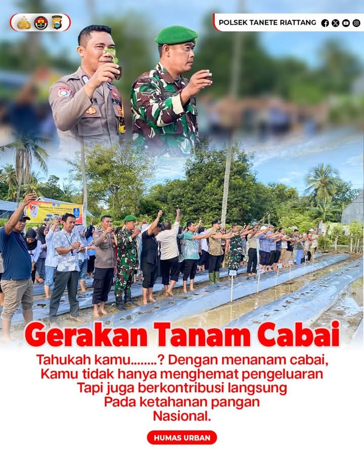 Bupati Bone Menghadiri Tanaman Cabai Gerakan Tanam Cabai di lahan PD2L Kelurahan Panyula