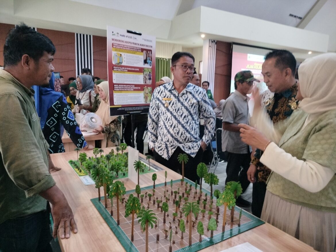 Proyek SFITAL Dorong Pembelajaran Inovatif dalam Praktik Agroforestri Kakao.