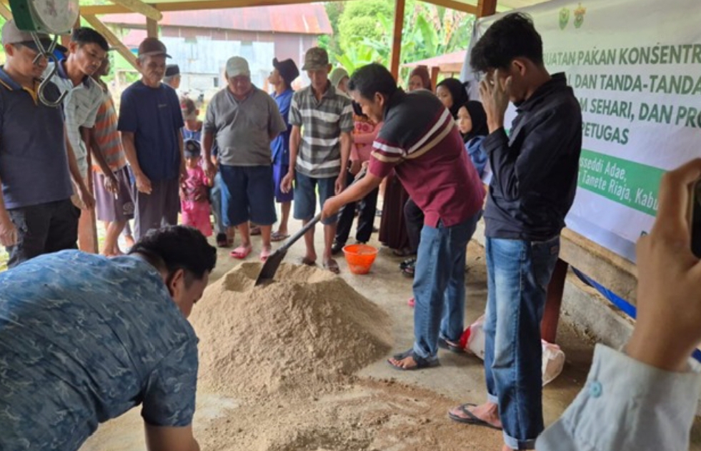 UNHAS Gelar Pelatihan Pakan Konsentrat dan Deteksi Berahi Ternak di Barru, Dorong Efisiensi Reproduksi Sapi