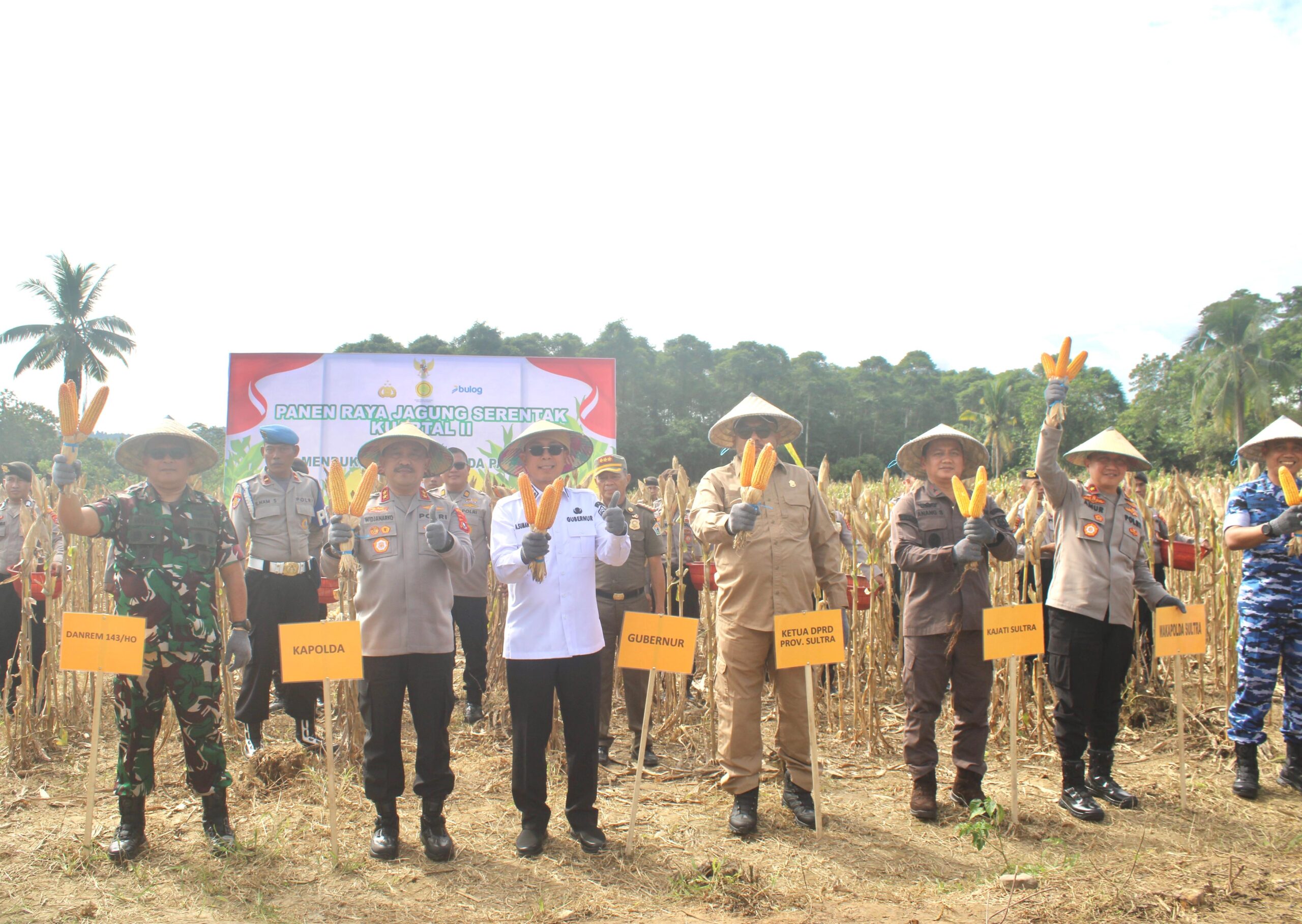 *Panen Raya Jagung Serentak Digelar di Konsel, Sultra Siap Jadi Lumbung Pangan Nasional*