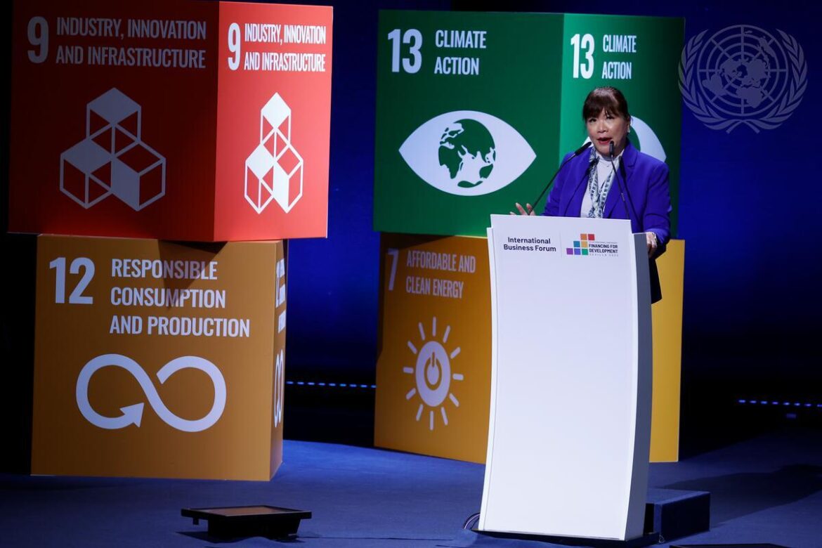 *Tampil di Panggung PBB, Ketum APINDO Ditunjuk Jadi Co-Chair Business Steering Committee FFD4*