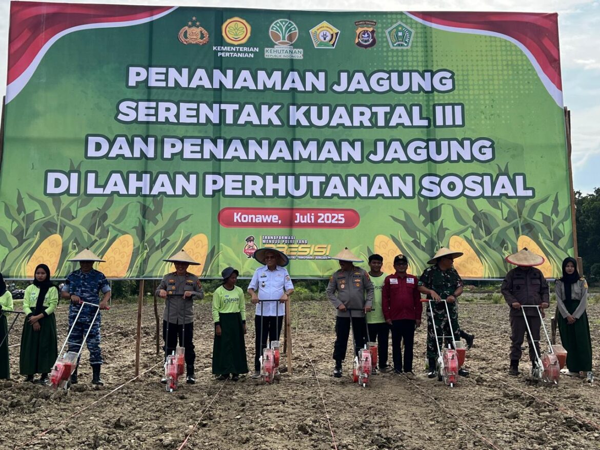 *Dukung Ketahanan Pangan, Kapolda Sultra Bersama Forkopimda Laksanakan Penanaman Jagung Kuartal III di Kabupaten Konawe*