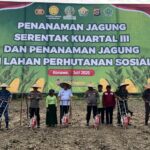 *Dukung Ketahanan Pangan, Kapolda Sultra Bersama Forkopimda Laksanakan Penanaman Jagung Kuartal III di Kabupaten Konawe* *Dukung Ketahanan Pangan, Kapolda Sultra Bersama Forkopimda Laksanakan Penanaman Jagung Kuartal III di Kabupaten Konawe*