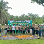 Panen Perdana Jagung, PT SRL1 Tegaskan Komitmen Ketahanan Pangan Nasional Panen Perdana Jagung, PT SRL1 Tegaskan Komitmen Ketahanan Pangan Nasional