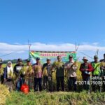 Petani di Madello-Binuang, Panen Raya dengan Hasil Fantastis Berkat Bantuan Benih Unggul Kementan RI Petani di Madello-Binuang, Panen Raya dengan Hasil Fantastis Berkat Bantuan Benih Unggul Kementan RI