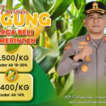 Nilai Jual Tinggi, Kapolres AKBP Ananda Fauzi Harahap Ajak Petani Barru Tanam Jagung Nilai Jual Tinggi, Kapolres AKBP Ananda Fauzi Harahap Ajak Petani Barru Tanam Jagung