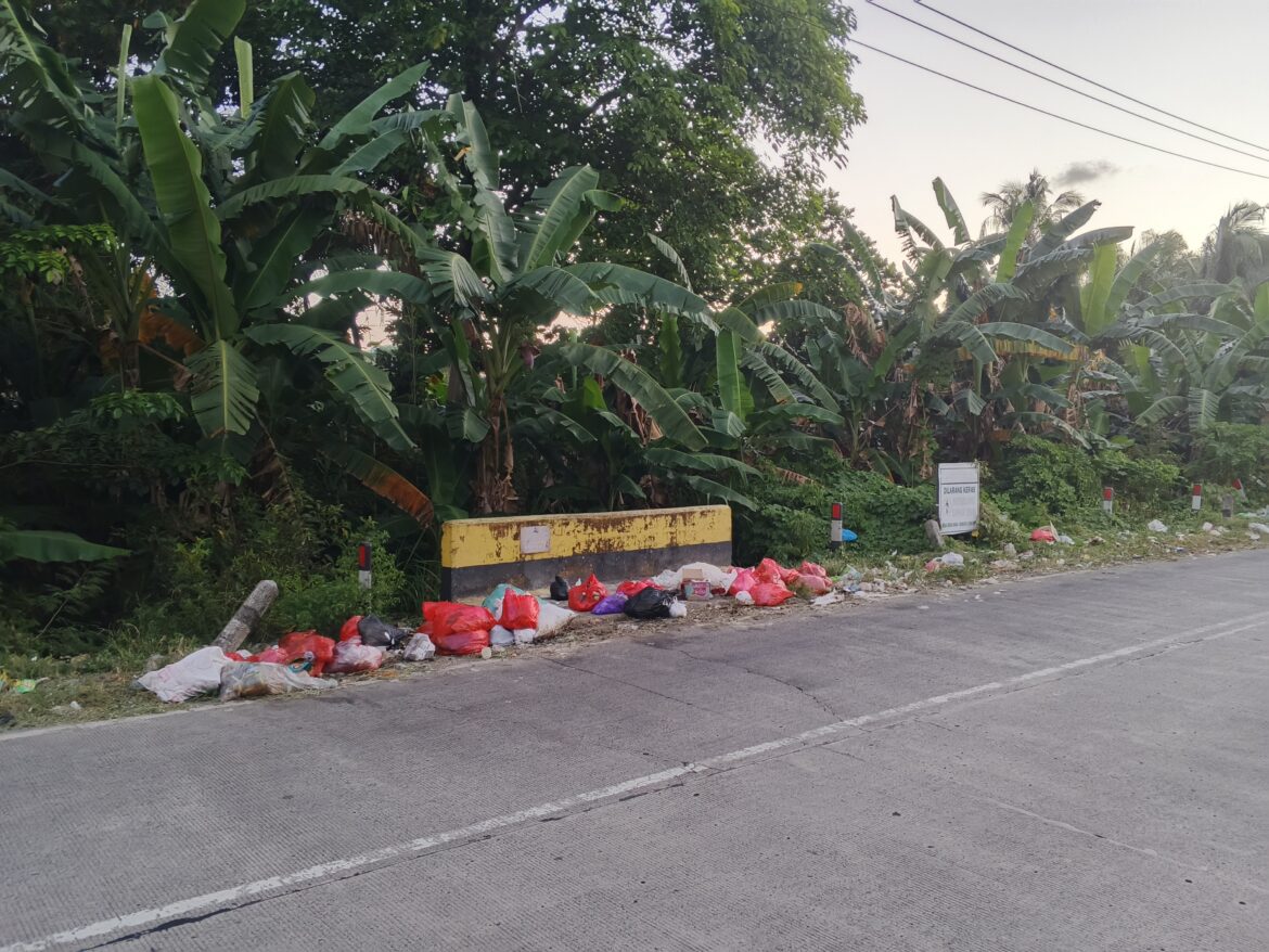 Warga Keluhkan Tumpukan Sampah di Jalan Poros Makassar-Barru, Mangkoso