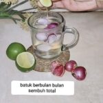 Bawang merah dan jeruk nipis dapat dimanfaatkan sebagai obat batuk alami Bawang merah dan jeruk nipis dapat dimanfaatkan sebagai obat batuk alami