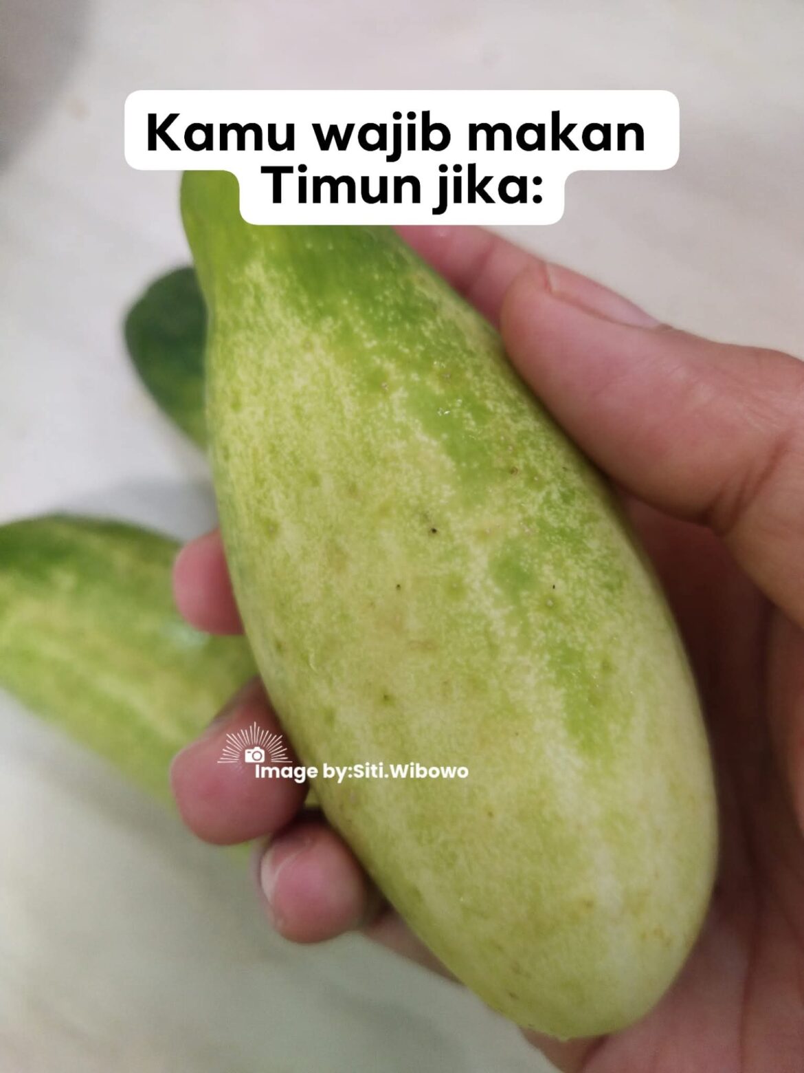 Makan Timun Jika: