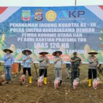 Tanam Jagung di Konawe Utara, Wujud Keseriusan Polda Sultra Dukung Ketahanan Pangan Tanam Jagung di Konawe Utara, Wujud Keseriusan Polda Sultra Dukung Ketahanan Pangan