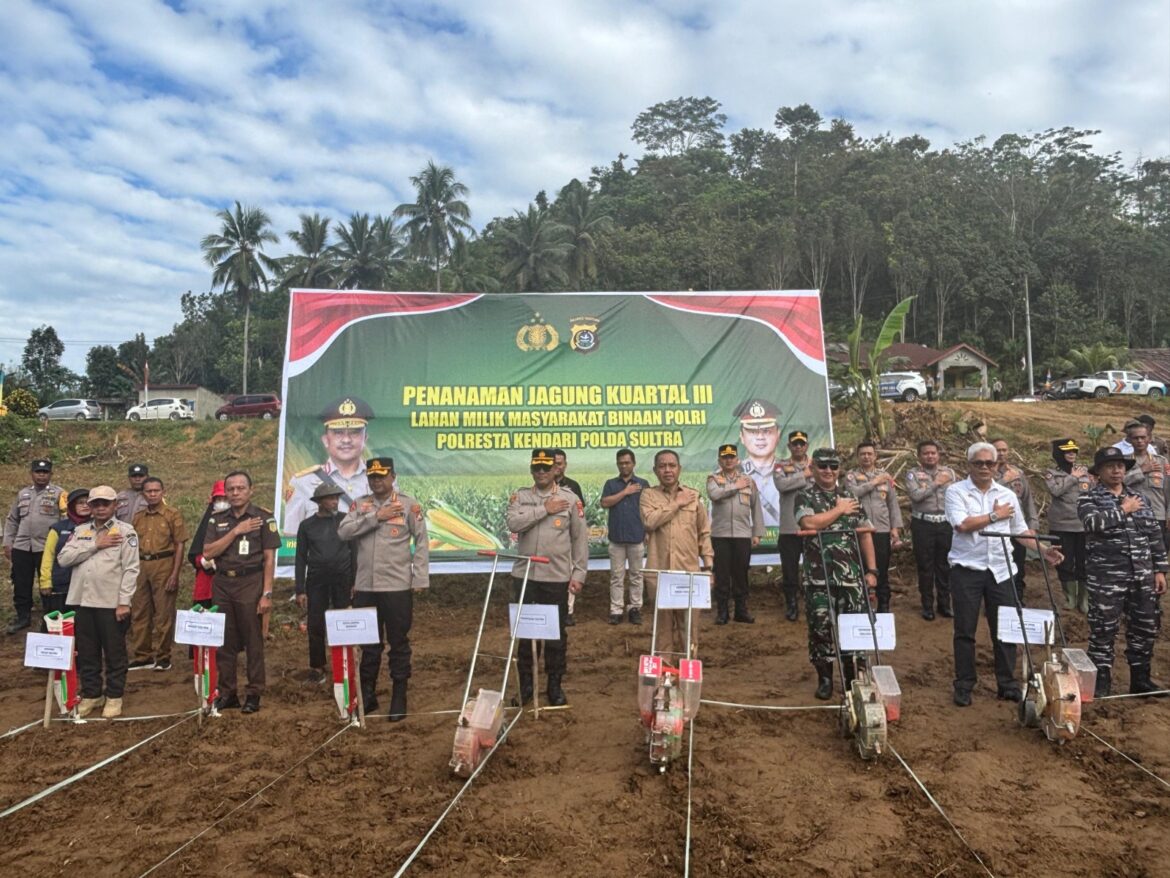 *Penanaman Jagung Kuartal III, Polda Sultra Targetkan 6 Ribu Hektar Lahan Potensi*