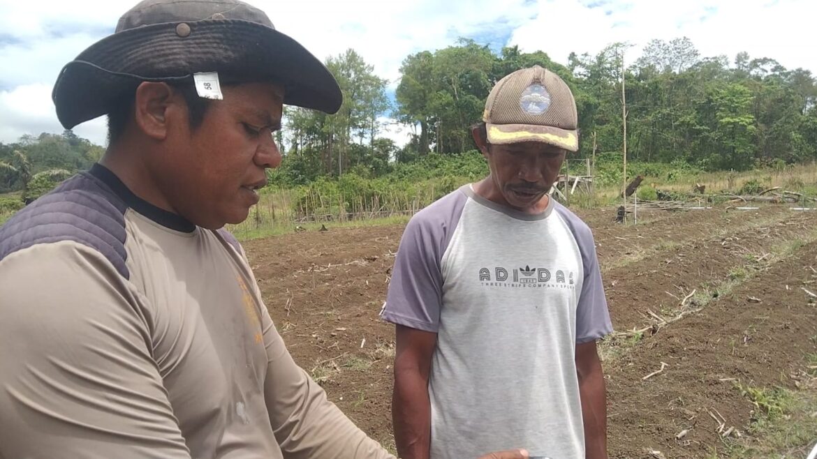 Aiptu Arip Pelu, Polisi di Kota Baubau Hadirkan Inovasi Penyiraman Mesin Kincir untuk Petani*