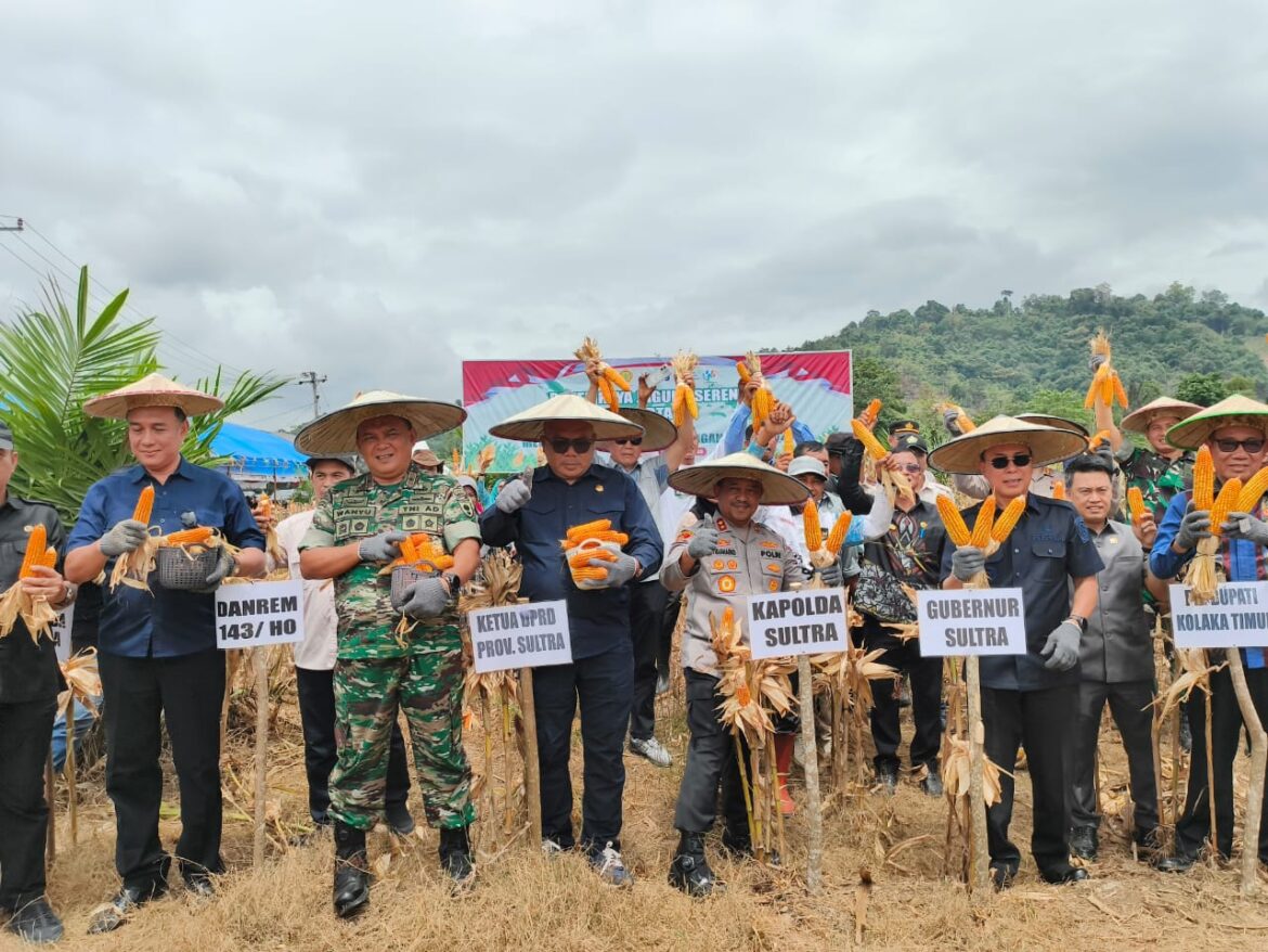 *Komitmen Dukung Ketahanan Pangan, Kapolda Sultra dan Forkopimda Panen Raya Jagung Serentak di Kolaka Timur*