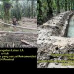 PT Palma Terus Melakukan Pembenahan, dan Tetap Mendorong Perekonomian Masyarakat Sekitar PT Palma Terus Melakukan Pembenahan, dan Tetap Mendorong Perekonomian Masyarakat Sekitar