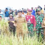 Lindungi Petani Dari Risiko Gagal Panen, Jasindo Solusinya. Lindungi Petani Dari Risiko Gagal Panen, Jasindo Solusinya.