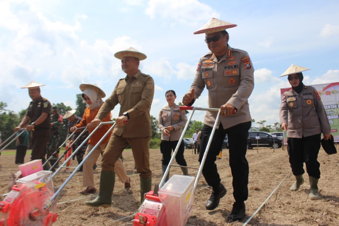 *Penanaman Jagung Kuartal IV di Desa Lamomea, Polda Sultra Target 50 Ribu Ton*
