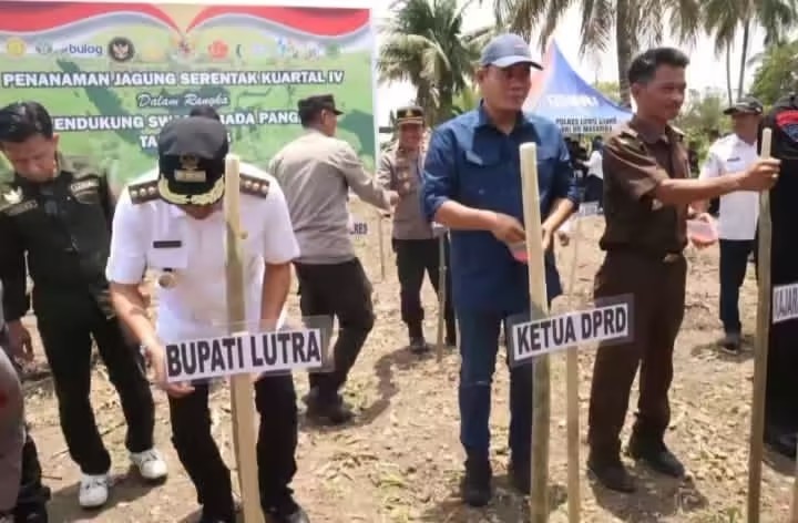 Karemuddin, Wakil Ketua DPRD Luwu Utara Hadiri Penanaman Jagung Serentak di Desa Tarak Tallu.