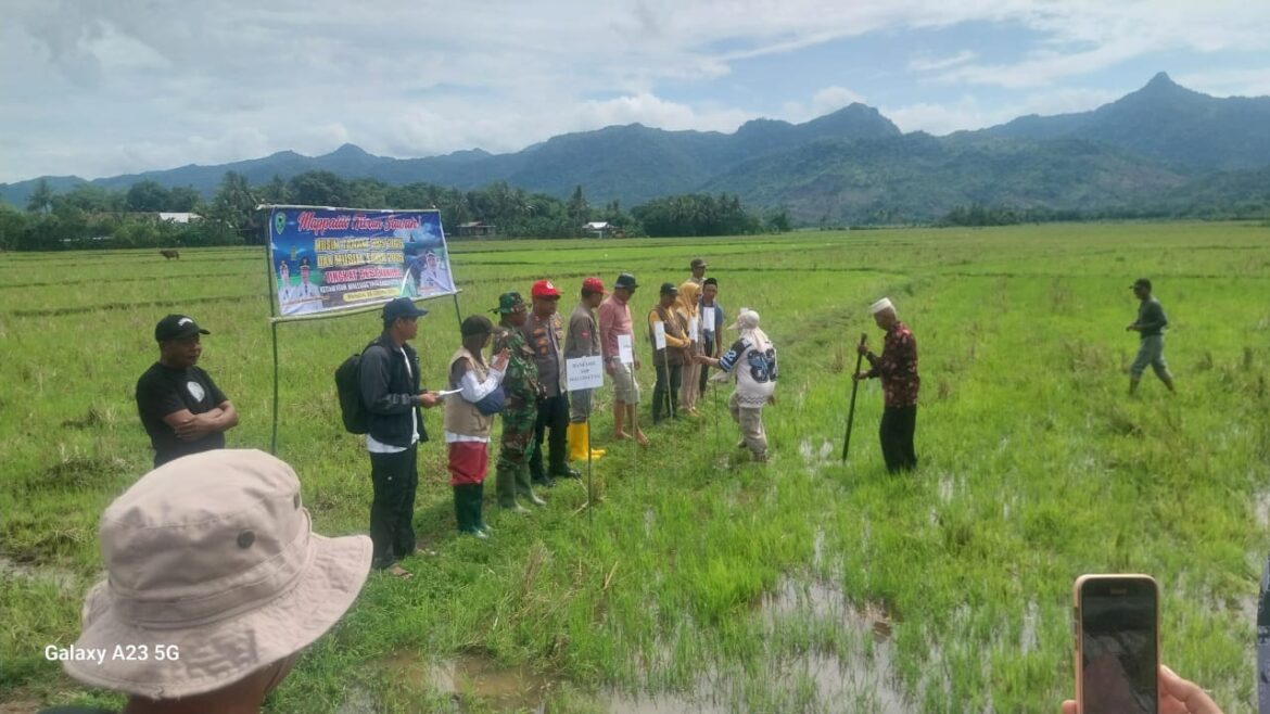 Turun Sawah di Desa Manuba: Simbol Kebersamaan Polri-Pemerintah-Warga Wujudkan Stabilitas Pangan Nasional