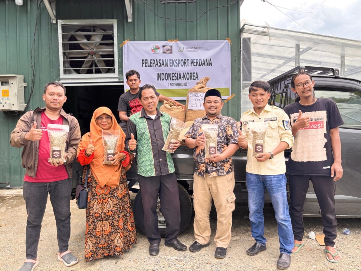 Kopi Enrekang Tembus Korea Selatan,