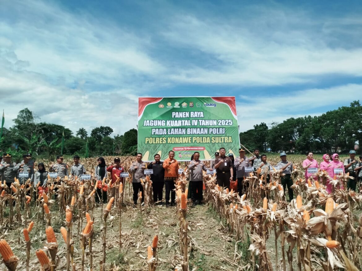 *Sinergi Polda Sultra dan Pemda Konawe Gelar Panen Raya Jagung: Wujud Sinergi Dukung Asta Cita Presiden*