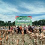 *Sinergi Polda Sultra dan Pemda Konawe Gelar Panen Raya Jagung: Wujud Sinergi Dukung Asta Cita Presiden* *Sinergi Polda Sultra dan Pemda Konawe Gelar Panen Raya Jagung: Wujud Sinergi Dukung Asta Cita Presiden*