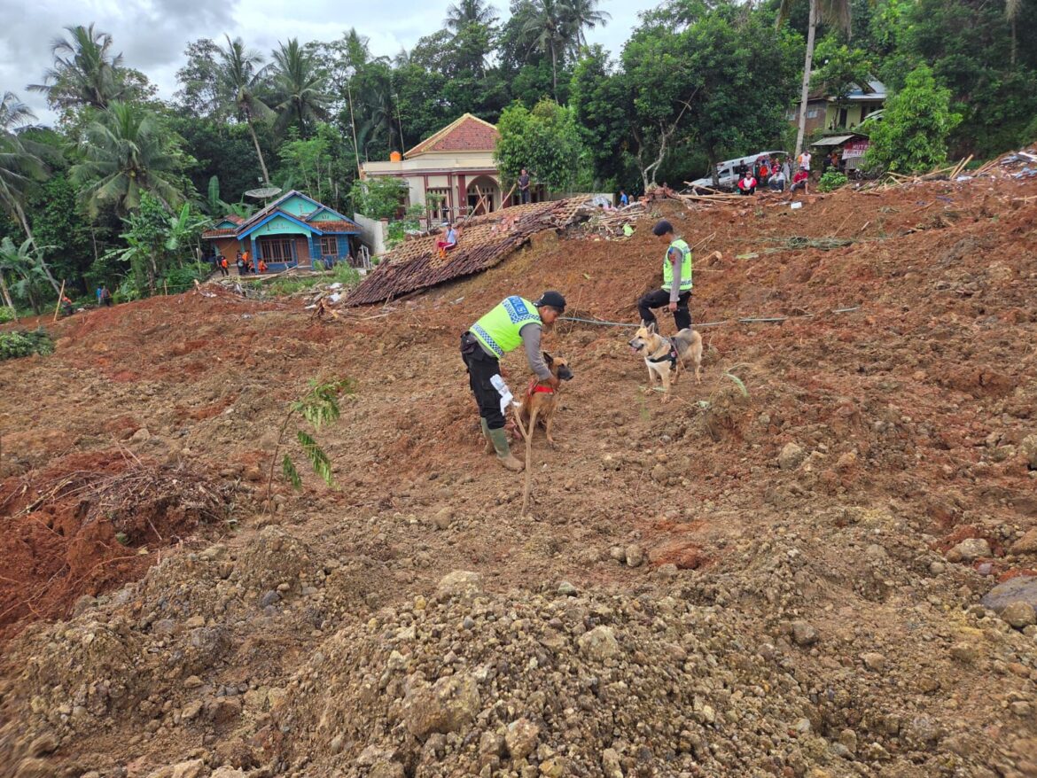 Polri Kerahkan Anjing Pelacak dalam Pencarian Korban Longsor Cilacap