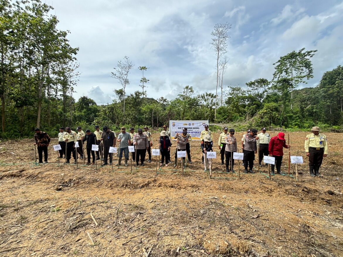 🌽 Polda Sultra Dukung Ketahanan Pangan, Dit Binmas Gelar Penanaman Jagung Serentak Bertepatan dengan HUT Satpam ke-45
