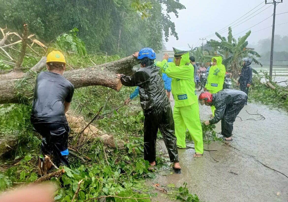 Imbas Hujan Deras, Polres Barru Turun Tangan Bersihkan Material Pohon Tumbang di Tanete Rilau