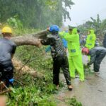 Imbas Hujan Deras, Polres Barru Turun Tangan Bersihkan Material Pohon Tumbang di Tanete Rilau Imbas Hujan Deras, Polres Barru Turun Tangan Bersihkan Material Pohon Tumbang di Tanete Rilau