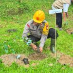 Wujudkan Ketahanan Pangan, Kapolsek Pujananting Sinergi Bareng Tripika Tanam Kopi di Desa Pujananting