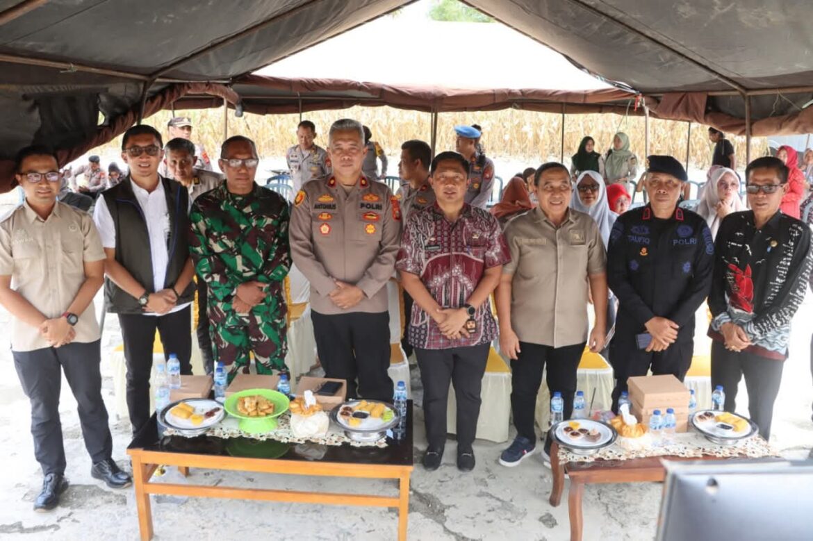 Panen Raya Jagung Serentak Kuartal I berlangsung di Desa Tanah Tengnga, Kecamatan Palakka, Kabupaten Bone,