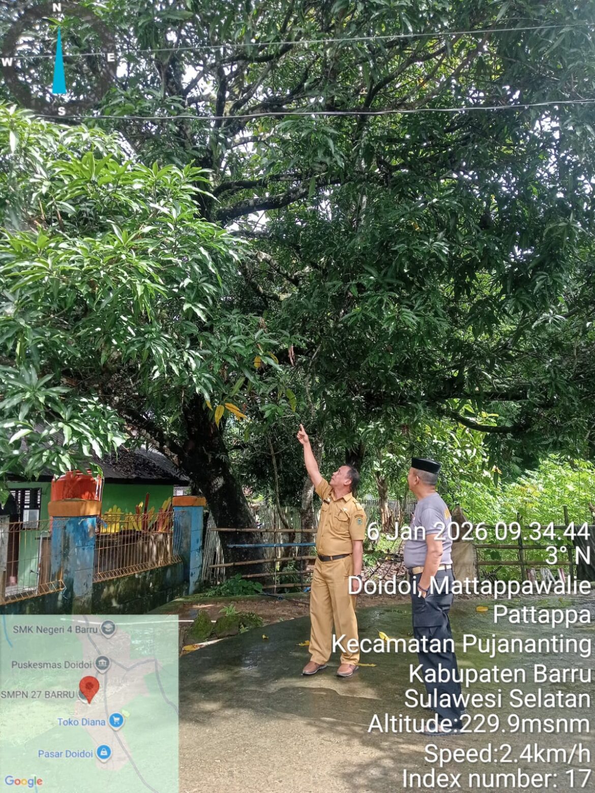 Sinergi Polri dan Sekolah, Kapolsek Pujananting Monitoring dan Pangkas Pohon Rawan Tumbang di SMPN 27 Barru