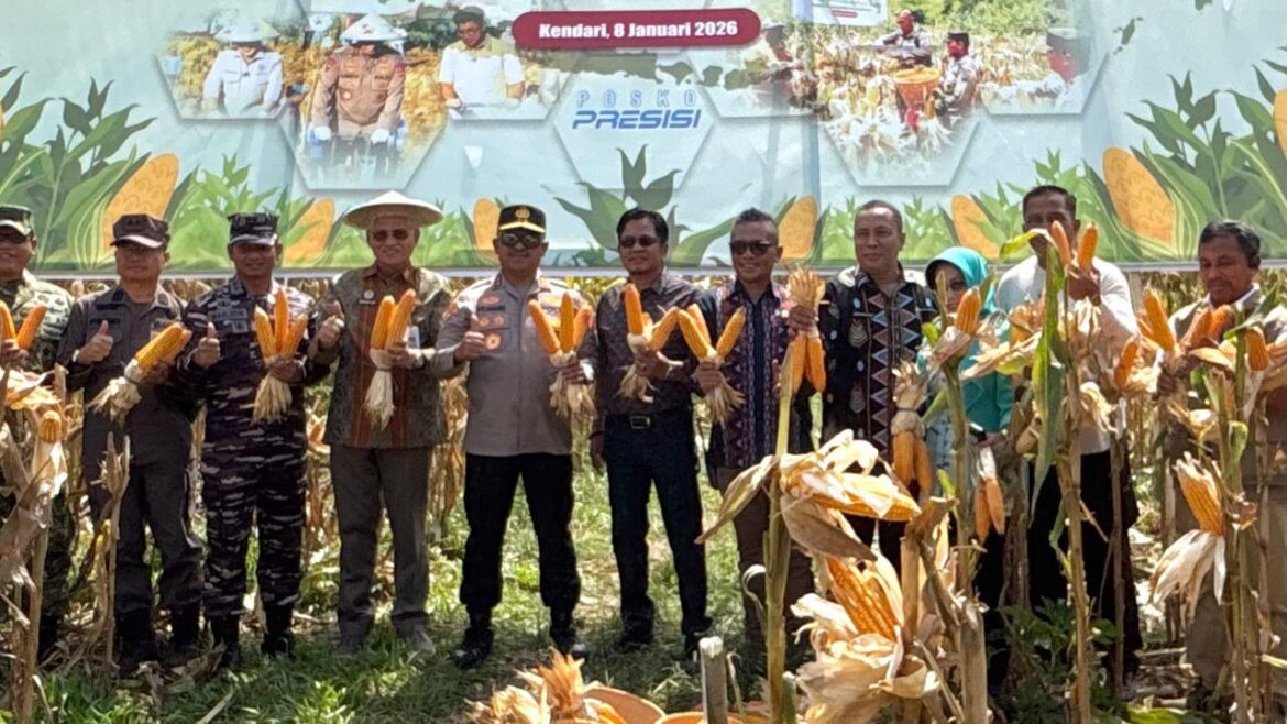 KepoPolda Sulawesi Tenggara Kembali Melaksanakan Panen Raya Jagung Serentak Kuartal I Tahun 2026,