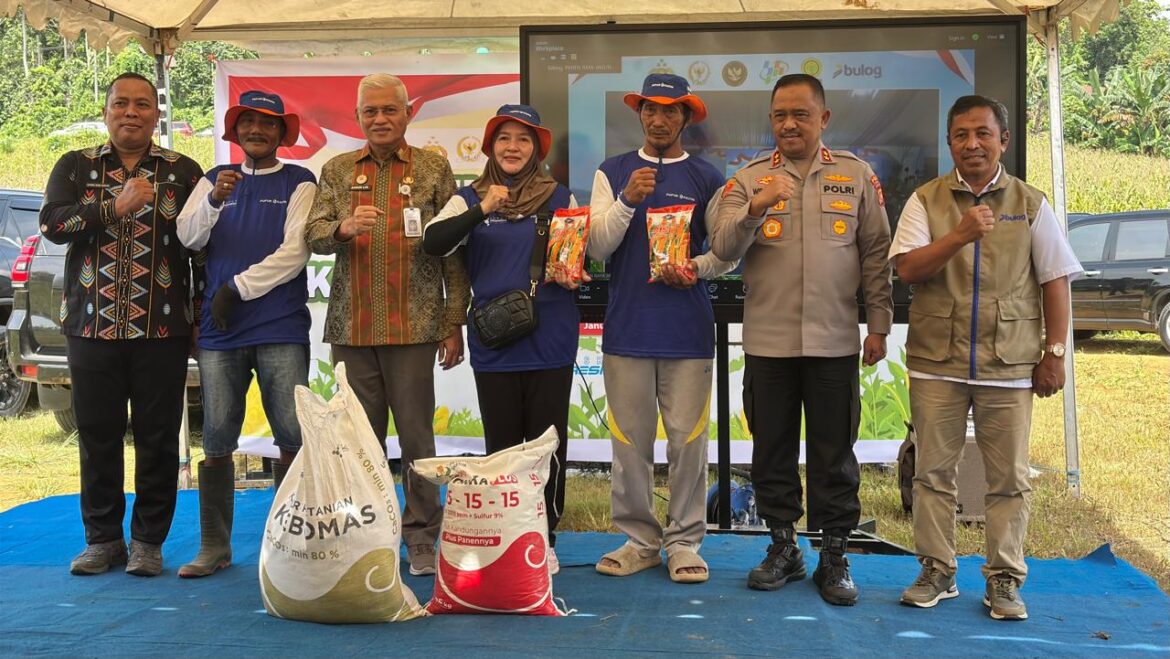 *Bersama Sekda Provinsi, Kapolda Sultra Bagikan Benih dan Pupuk kepada Petani Saat Panen Raya Jagung*
