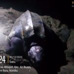 "Turtle Conservation Success in Buru Island: Community-Led Efforts Reduce Poaching by 95%" "Turtle Conservation Success in Buru Island: Community-Led Efforts Reduce Poaching by 95%"