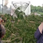 Hari Ketiga Aksi di Jembatan Baliase, Luwu Utara Lumpuh Total: Jalan Ditutup, Pohon Ditebang