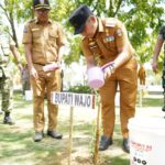 Bupati Andi Rosman Pimpin Penanaman Pohon di Taman Padduppa dan RTH Callaccu