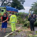 Respon Cepat Tangani Pohon Tumbang, Polres Barru Banjir Apresiasi dari Warga dan Pengendara Respon Cepat Tangani Pohon Tumbang, Polres Barru Banjir Apresiasi dari Warga dan Pengendara