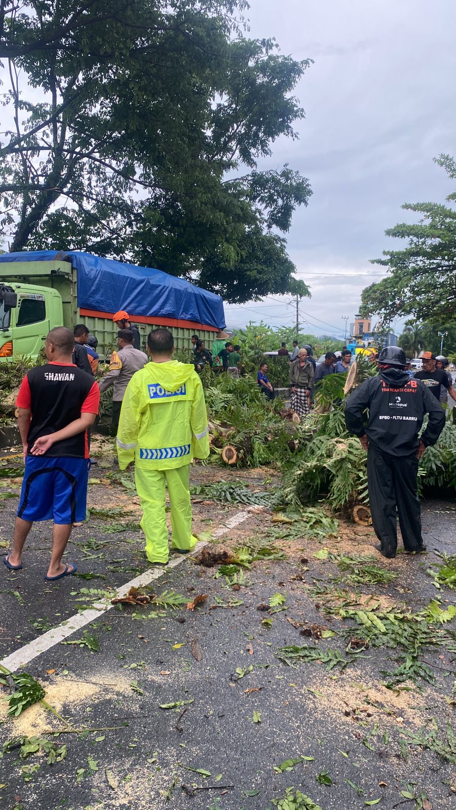 ​Respon Cepat Tangani Pohon Tumbang, Polres Barru Banjir Apresiasi dari Warga dan Pengendara