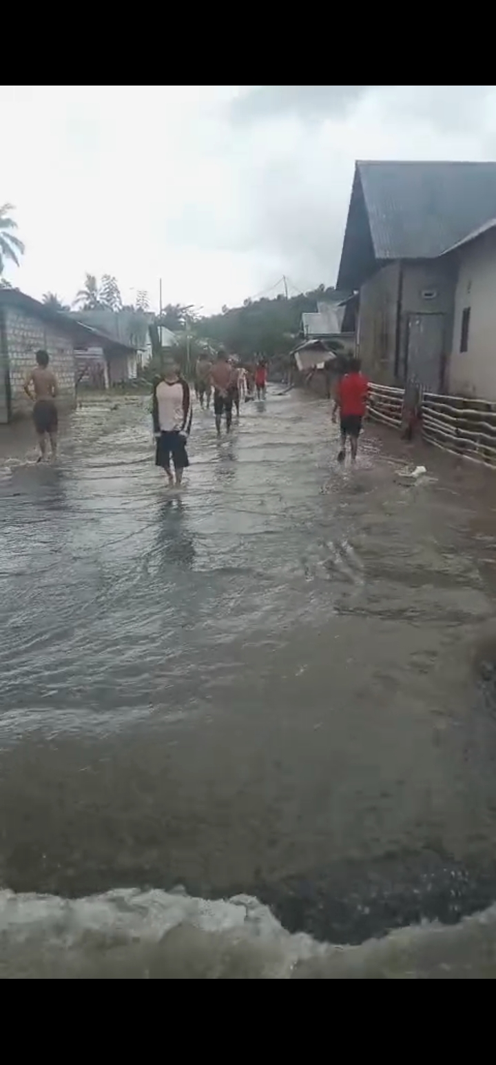 *KRISIS LINGKUNGAN HIDUP NASIONAL: PT GHL Diduga Lakukan Malapraktik Kehutanan di Pulau Buru*