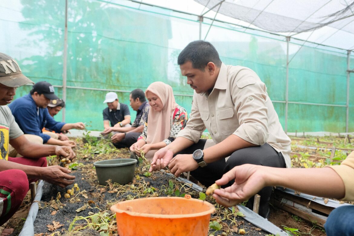 *Pemkab Bantaeng Perkuat Ketahanan Pangan Lewat Distribusi Benih Unggul