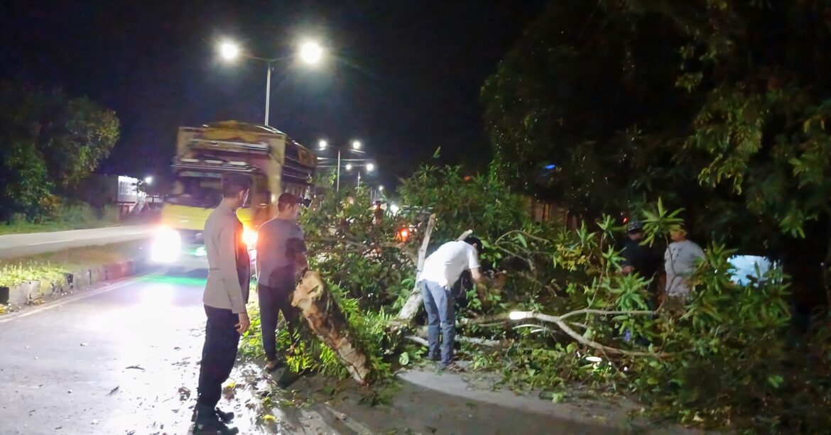 ​Gerak Cepat, Personel Polsek Tanete Rilau Bersihkan Pohon Tumbang di Desa Lipukasi