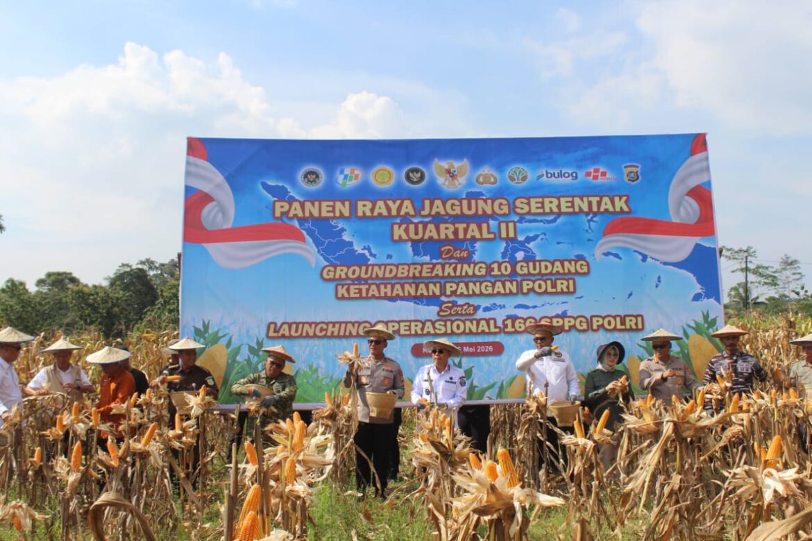 *Pemprov Sultra Apresiasi Panen Raya Jagung Polda Sultra Dukung Ketahanan Pangan Nasional*
