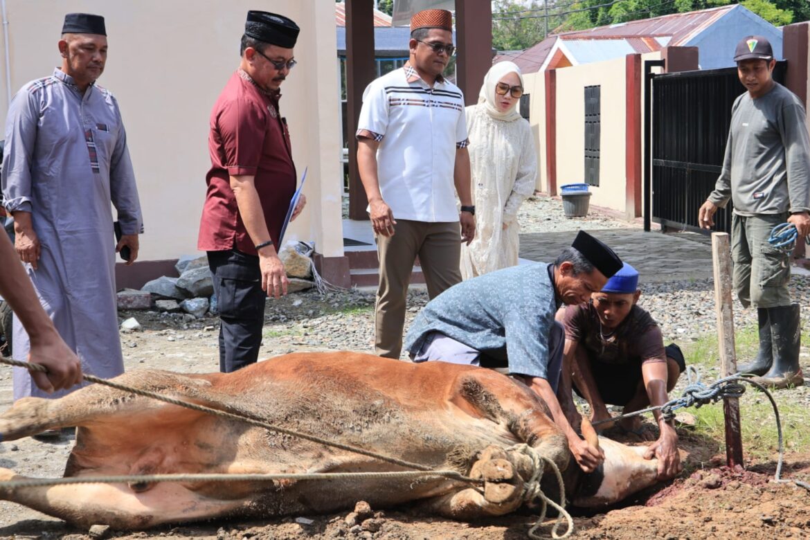 Iduladha 1447 H, Polres Barru Sembelih 5 Sapi dan 2 Kambing untuk Warga